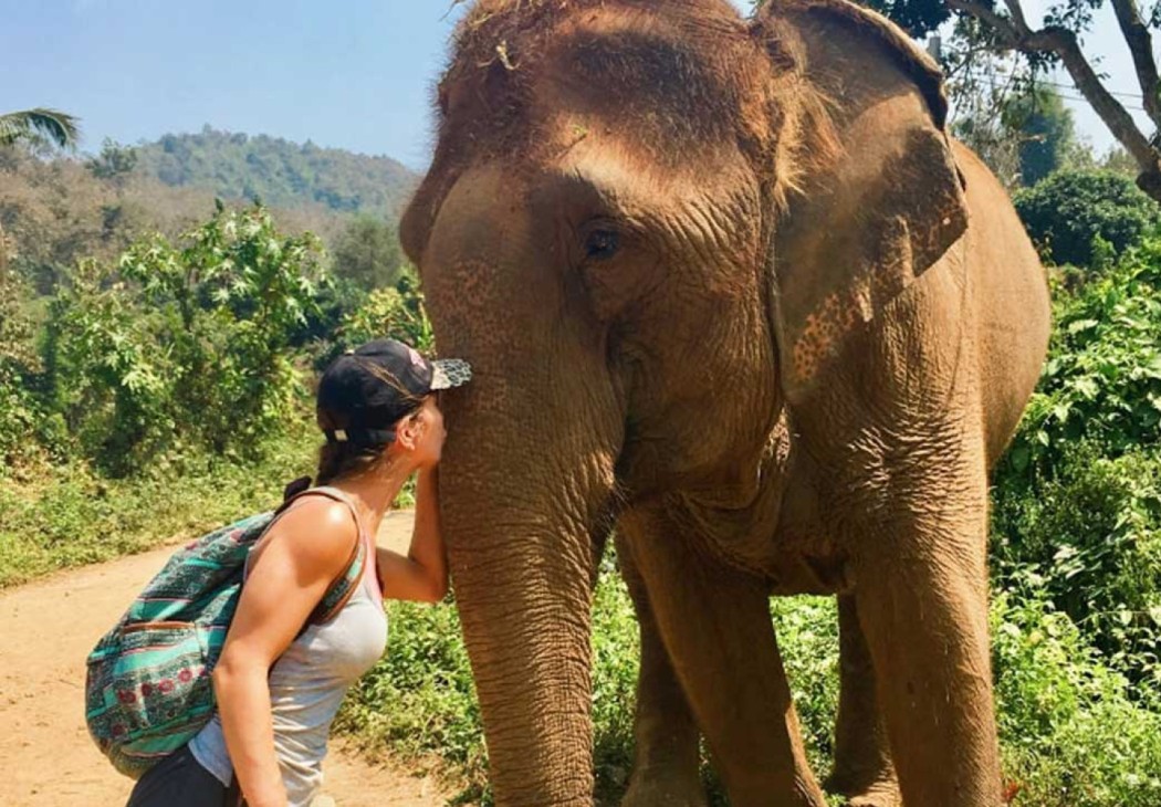 Thailand Elephant village experience